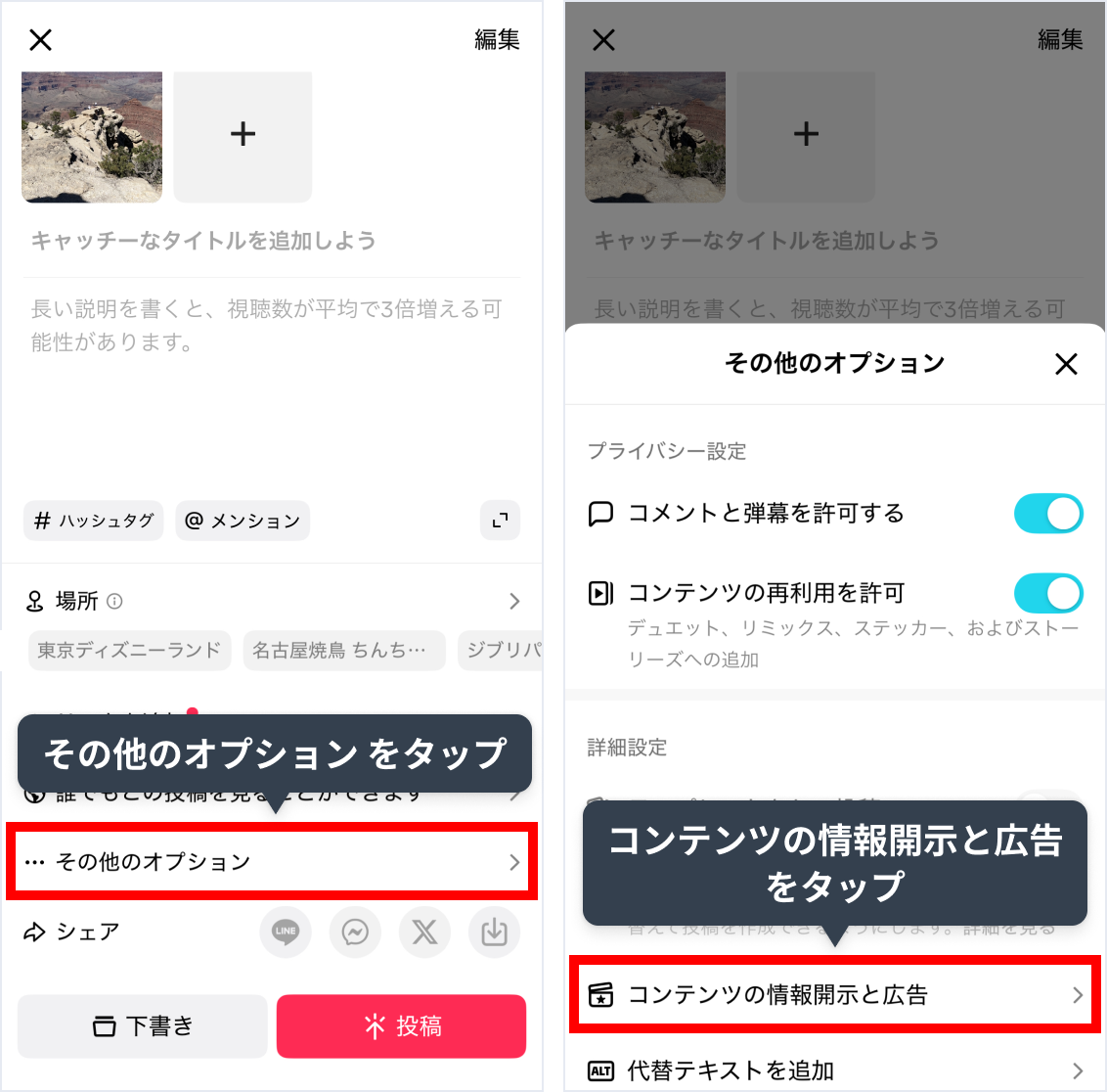 tt_01.webp