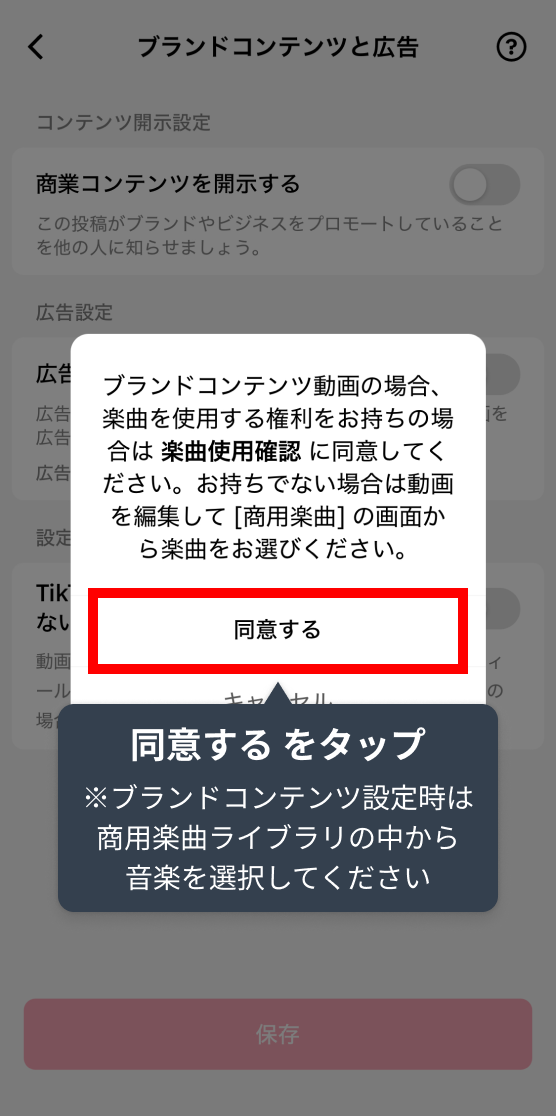 tt_03.webp